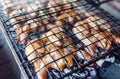 Quails on the grill. Chicken meat on the grill. Royalty Free Stock Photo