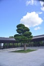 Tsz Shan Monastery pine pavilion Gazebo Kiosk