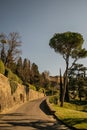 Quaint European cobblestone street lined with lush greenery