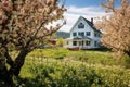 Quaint Farmhouse Nestled Amidst Blooming Apple Orchard. Generative AI