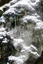 Quaint frozen watercourse artfully on mossy scarp