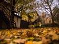 quaint old fashioned cottage homes during autumn with leaves on the ground Royalty Free Stock Photo