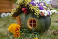 Quaint pumpkin house with flowers on the roof