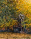 Quaint, rustic outhouse in a grassy meadow, surrounded by trees in autumn.