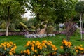 A quaint shrub of an interesting shape, like large paws made of clipped green twigs with leaves. On long wooden stems among flower