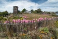 The quaint town of Mendocino, California