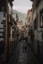 Quaint, urban alleyway flanked by charming structures in Funchal, Portugal. Royalty Free Stock Photo