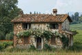 Quaint, vine-covered stone cottage with a terracotta roof nestled amid lush countryside Royalty Free Stock Photo