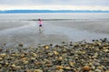 Qualicum beach