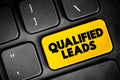 Qualified Leads - potential customers in the future, based on certain fixed criteria of your business requirements, text concept