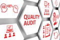 QUALITY AUDIT concept cell background 3d