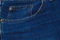 Levi Strauss 501 label