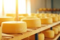 Quality cheese production: rows of ripening circles