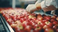 Quality control of apples in a food testing lab, ensuring safety and standards are upheld Royalty Free Stock Photo