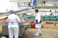 quality control in a meat processing plant - production of sausages in a factory Royalty Free Stock Photo