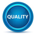 Quality Eyeball Blue Round Button Royalty Free Stock Photo