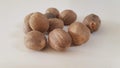 a quality nutmeg product that is very good profit  for export Royalty Free Stock Photo