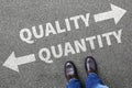 Quality quantity success choice choose business concept business