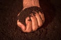 Quality soil in male gardener hands