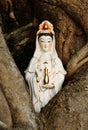 Quan Yin ( goddess of mercy ) of Chinese