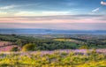 Quantock Hills Somerset view to Hinkley Point Nuclear Power Stationwith bluebell flowers Royalty Free Stock Photo