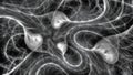 Quantum correlation black and white abstract background