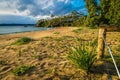 Quarantine bay in Eden in Australia at sunrise Royalty Free Stock Photo