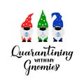 Quarantining with my gnomies. Funny quarantine quote with cute cartoon gnomes wearing masks. Coronavirus COVID-19 pandemic concept