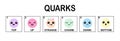 Quarks, strange, charm, up, down, top, bottom, quark types found by Hadron collider at CERN