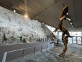 Quarry Exhibit Hall - Dinosaur National Park - Utah - Vernal