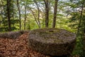 Abandoned grinding stone quarry in the Vercors, France