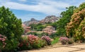 L`Estaque gardens and Sainte-Victoire mountain Royalty Free Stock Photo