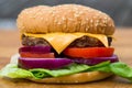 Quarter Pound Hamburger or Beefburger in a Sesame Bread Bun
