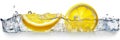 Quartered lemon and a slice of lemon in water with splash isolated against a white background in panorama format. Generative AI Royalty Free Stock Photo