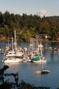 Quartermaster Harbor Mt. Rainier Vashon Island Puget Sound