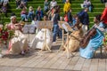 A quartet of string players play onm the streets of Liverpool for Eurovision