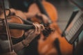 Quartet violin and cellos - closeup on hands - female hands