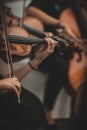 Quartet violin and cellos - closeup on hands - female hands