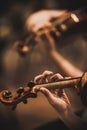 Quartet violin and cellos - closeup on hands - female hands