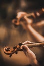 Quartet violin and cellos - closeup on hands - female hands