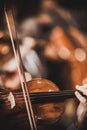 Quartet violin and cellos - closeup on hands - female hands