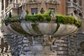 Frog Fountain in Rome