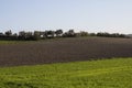 QUARTU: Countryside lake Simbirizzi - Sardinia