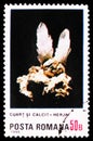 Quartz and Calcite from Herja, Minerals serie, circa 1985