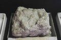 Quartz conglomerate sedimentary rocks