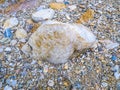 Quartz crystals on the beach of Greek peninsula Pelion, Magnesia.