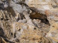 Quartz crystals on the beach of Greek peninsula Pelion, Magnesia.