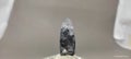 Quartz eith tourmaline inclusion mineral specimen crystal from skardu pakistan