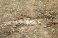 Quartz and granite Royalty Free Stock Photo
