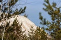 Quartz mining waste. The mountain of sand and screenings is gradually overgrown with mixed forest, birch and pine. Royalty Free Stock Photo
